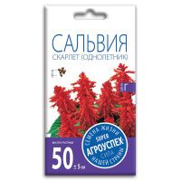02Аг5808 Сальвия Скарлет, семена Агроуспех 0,1г (350)