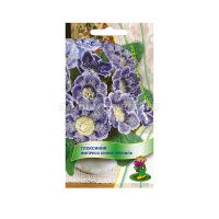 02По5078 Глоксиния Импресс Синие чернила (ЦВ)  5шт.