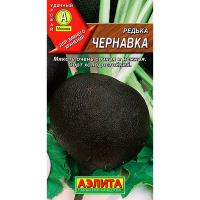 Редька Чернавка