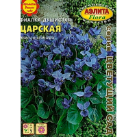 Фиалка Фиолетовый бархат душистая