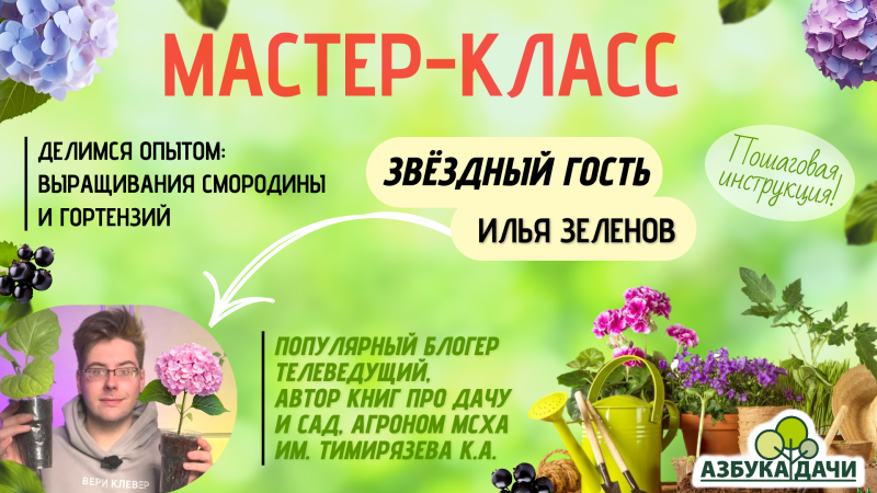 От саженца до шедевра: мастер-класс от Ильи Зеленова по выращиванию смородины и гортензий
