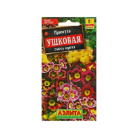 Примула ушковая смесь сортов
