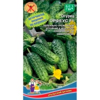 Огурец Орфеус F1
