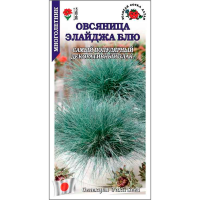 Овсяница Элайджа Блю