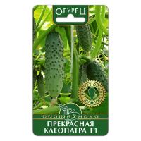 02Би2922 Огурец  Прекрасная Клеопатра F1 NDS