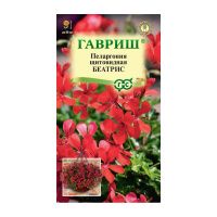 Га031328 Пеларгония Беатрис, ампельная 3 шт. Н22