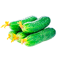 Огурцы