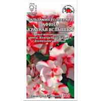 Бальзамин Афина Красная вспышка