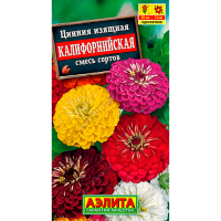 Цинния изящная Калифорнийская