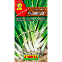 Лук батун Чиполлино