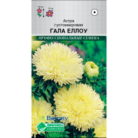 Астра ГАЛА ЕЛЛОУ густомахровая(10 шт)