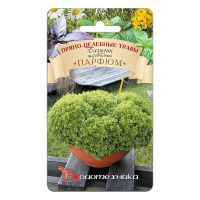 02Би2891 Базилик шаровидный Парфюм NDS