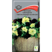 Петуния гибридная Софистика Блекберри энд лайм грин(ЦВ) (1) 5шт