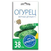 02Аг5678 Огурец Верные друзья F1, семена Агроуспех 10шт (500)
