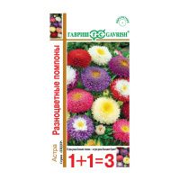 Га019936 Астра Помпонная, однолетняя (смесь) 0,3 г