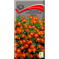 Бархатцы (Тагетес) тонколистные Паприка (ЦВ) (1) 0,1гр