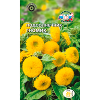 Подсолнечник Гномик (карликовый, высотой 60 см)
