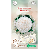 Астра НЕВЕСТА китайская (5 шт)