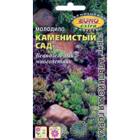 Молодило Каменистый сад