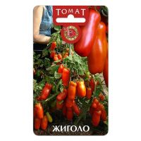 02Би3086 Томат Жиголо  NDS
