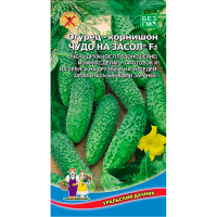 Огурец Чудо на засол