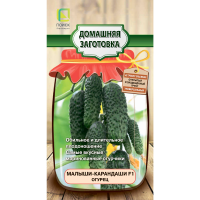 Огурец Малыши-карандаши  F1 (сер.Домаш.заготовка) (А) (ЦВ) 12шт