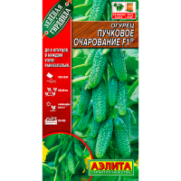 Огурец пучковое очарование F1