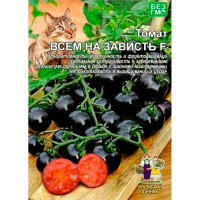Томат Всем на зависть