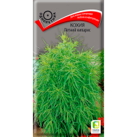 Кохия Летний кипарис (ЦВ) (1) 0,2гр