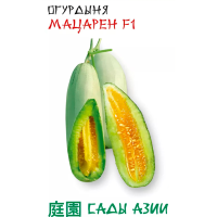Огурдыня(гибрид дыни и огурца) ”Мацарен” Е 1