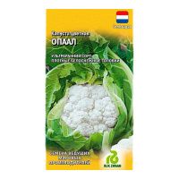 Га010251 Капуста цветная Опаал 10 шт. (Голландия)