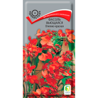 Фасоль вьющаяся (декоративная) Огненно-красная (ЦВ) (1) 5шт