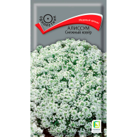 Алиссум Снежный ковёр (ЦВ) (1) 0,3гр