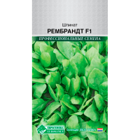 Шпинат РЕМБРАНДТ F1
