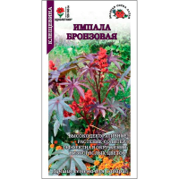 Клещевина Импала Бронзовая