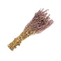 Веник шалфей