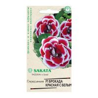 Га015529 Глоксиния Брокада красная с белым F1 гранул. 4 шт. пробирка Саката серия Эксклюзив