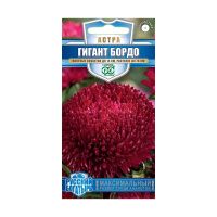 Га019903 Астра Гигант бордо, однолетняя  0,05 г (игольчато-коготковая) серия Русский богатырь Н18