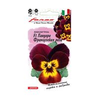 Га014432 Виола Пандора французская роза F1 5 шт. серия Фарао Н21 DHп