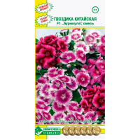 Гвоздика АУРИКУЛА F1, смесь китайская