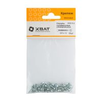 FI017476 Шурупы оцинкованные, универсальные 2,5 х 12 (фасовка 53 шт.)