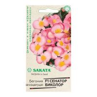 Га015523 Бегония Сенатор Биколор F1 вечноцв. 4 шт. пробирка, Саката серия Элитная клумба Н21