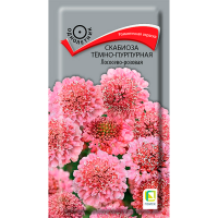Скабиоза темно-пурпурная Лососево-розовая (ЦВ) (1) 0,2гр