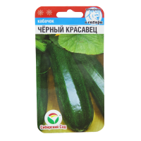 v8_24C0_34a11 v8_24C0_34a11