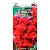 Львиный зев Макси Дефинс