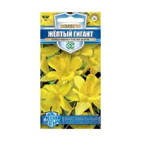 Га019594 Аквилегия Желтый гигант, культурная 0,05г серия Русский богатырь Н18