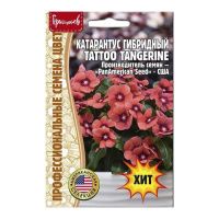 02Гр3000 Катарантус Tattoo Tangerine F1  5 шт. NDS