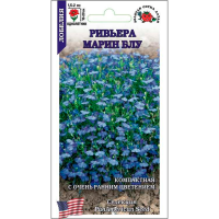 Лобелия Ривьера Марин Блу