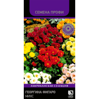 Георгина Фигаро Микс (Семена Профи) (ЦВ) (1) 10шт