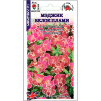 Мимулюс F1 Мэджик Белое пламя